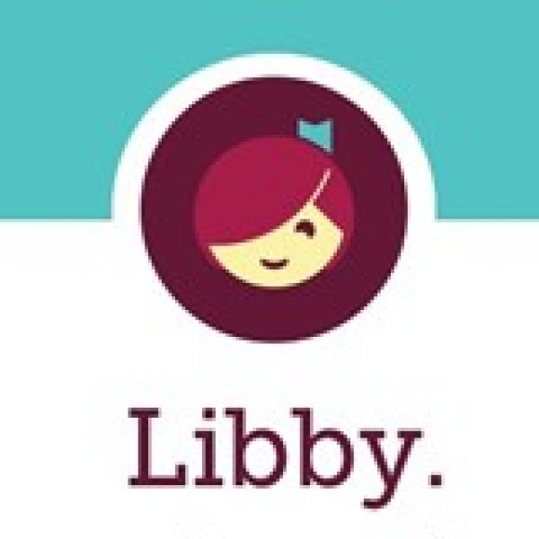 libby library sign in